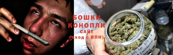 каннабис Богданович