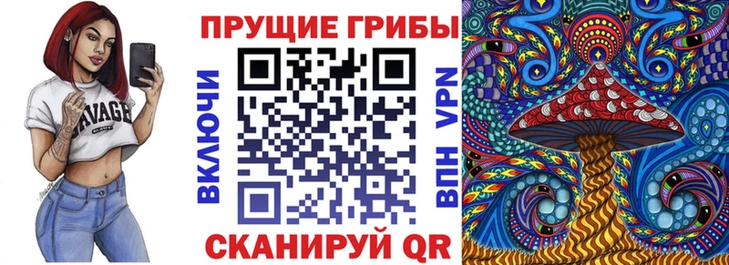наркота  Новочеркасск  Псилоцибиновые грибы Psilocybe 